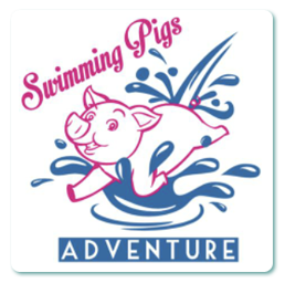 Swimming Pigs Adventure in Exuma, Bahamas